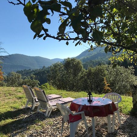 Chambre D'Hote Lavande - Le Soleil Des Cevennes Saint-Jean-du-Gard Eksteriør billede