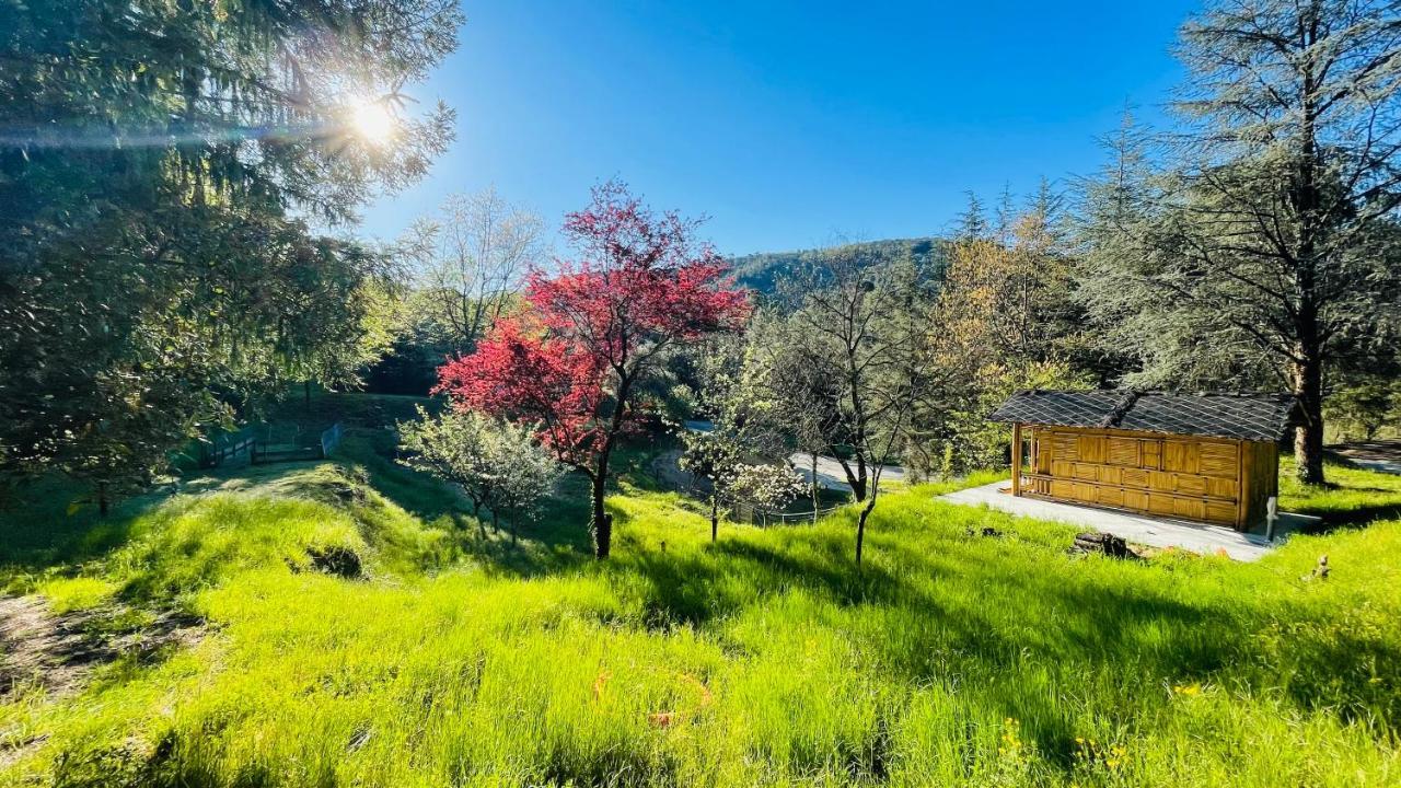 Chambre D'Hote Lavande - Le Soleil Des Cevennes Saint-Jean-du-Gard Eksteriør billede