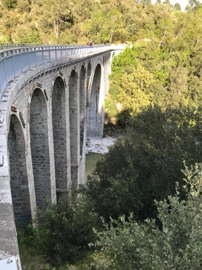 Chambre D'Hote Lavande - Le Soleil Des Cevennes Saint-Jean-du-Gard Eksteriør billede