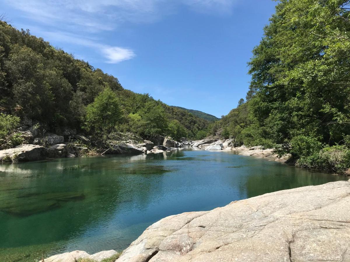 Chambre D'Hote Lavande - Le Soleil Des Cevennes Saint-Jean-du-Gard Eksteriør billede