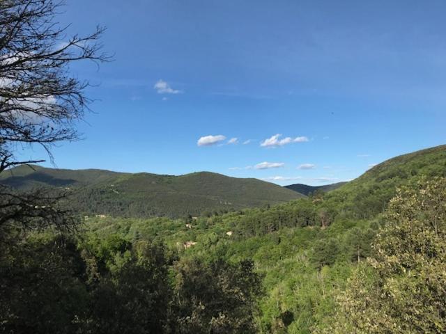 Chambre D'Hote Lavande - Le Soleil Des Cevennes Saint-Jean-du-Gard Eksteriør billede
