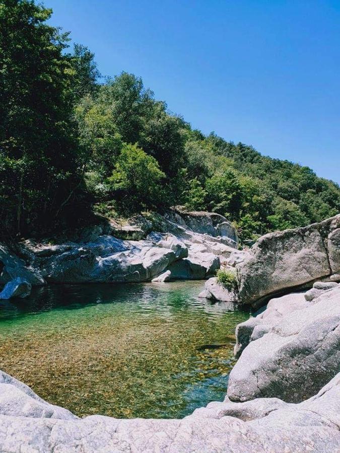 Chambre D'Hote Lavande - Le Soleil Des Cevennes Saint-Jean-du-Gard Eksteriør billede